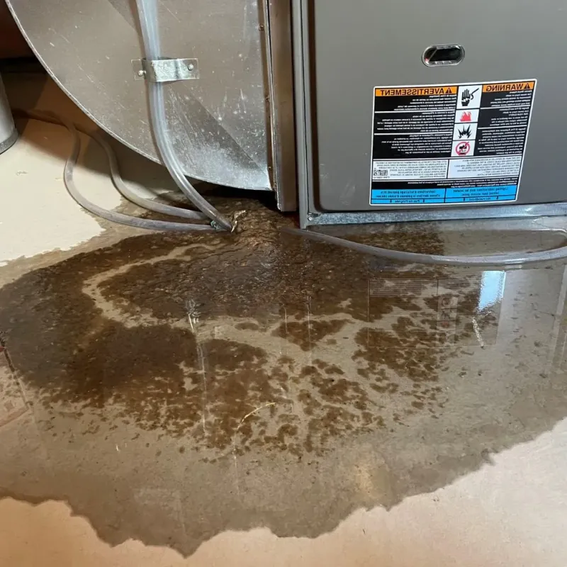 Pipe Burst and Leak Restoration in Ashley County, AR